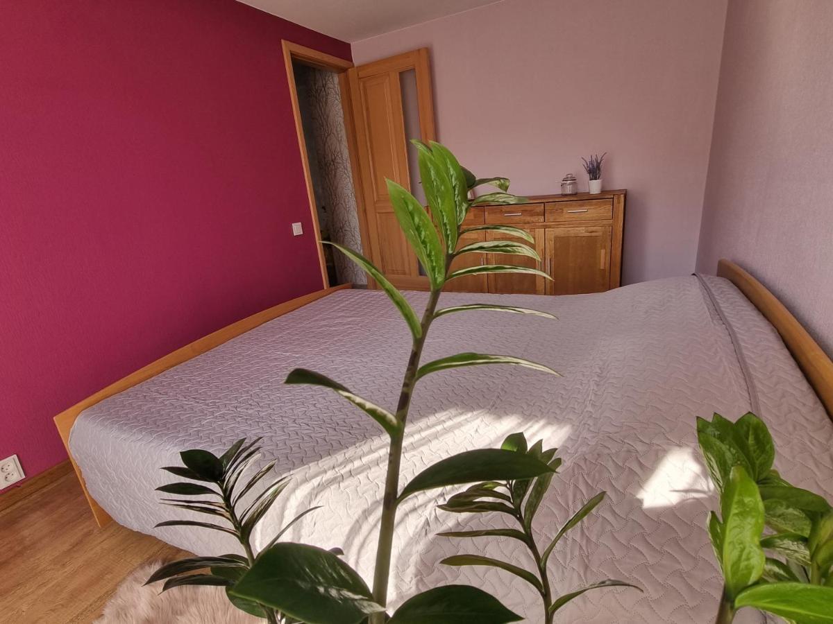 Apartment Kursi كولكا المظهر الخارجي الصورة